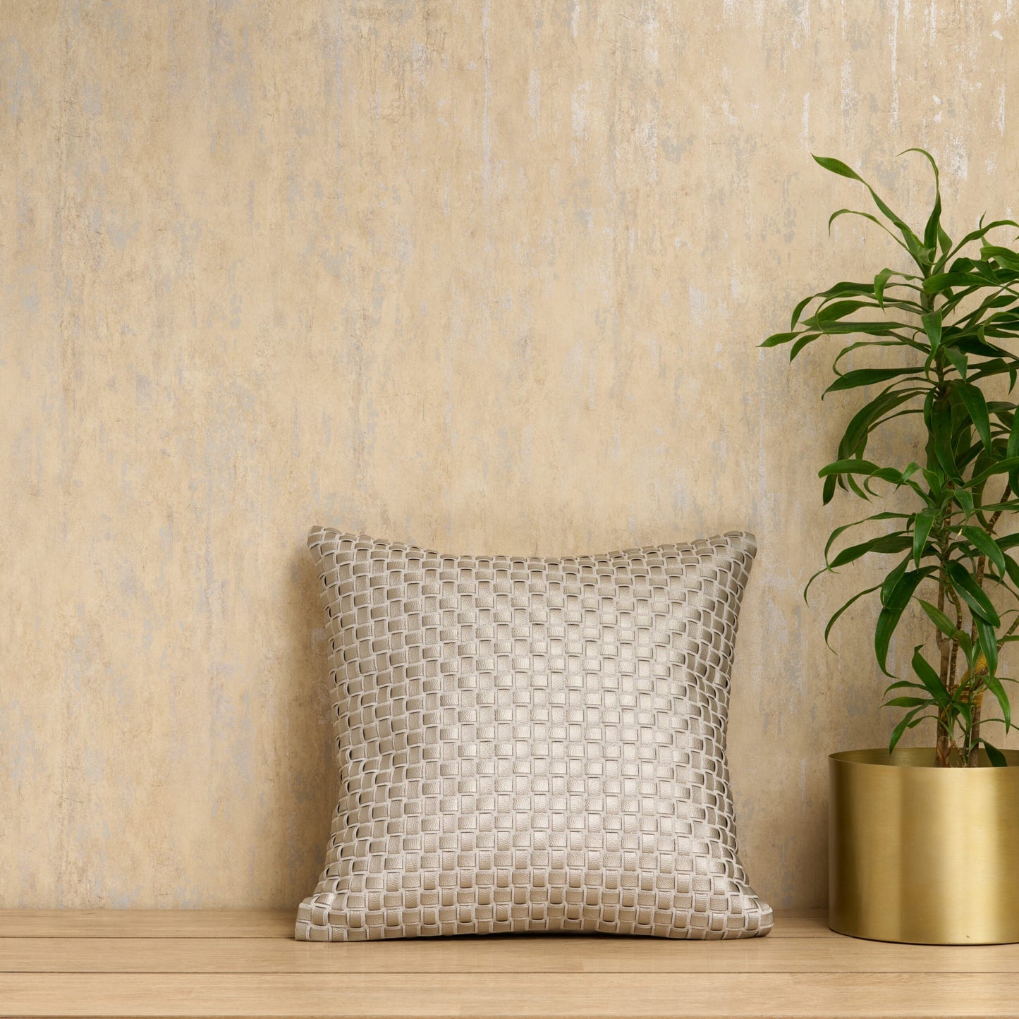 1 cushion cover (18x18)